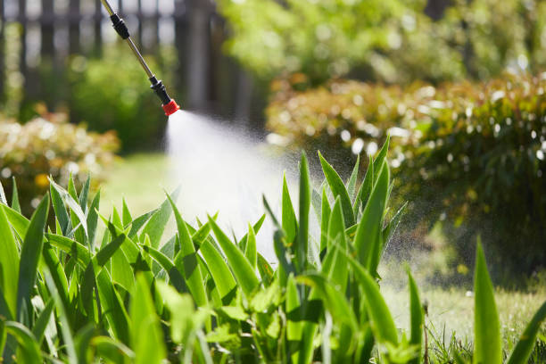 24/7 Emergency Wasp Removal experts in Conroe, TX