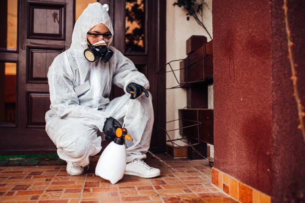 Reliable Wasp Removal contractor in Conroe, TX by Show Me Pest Control